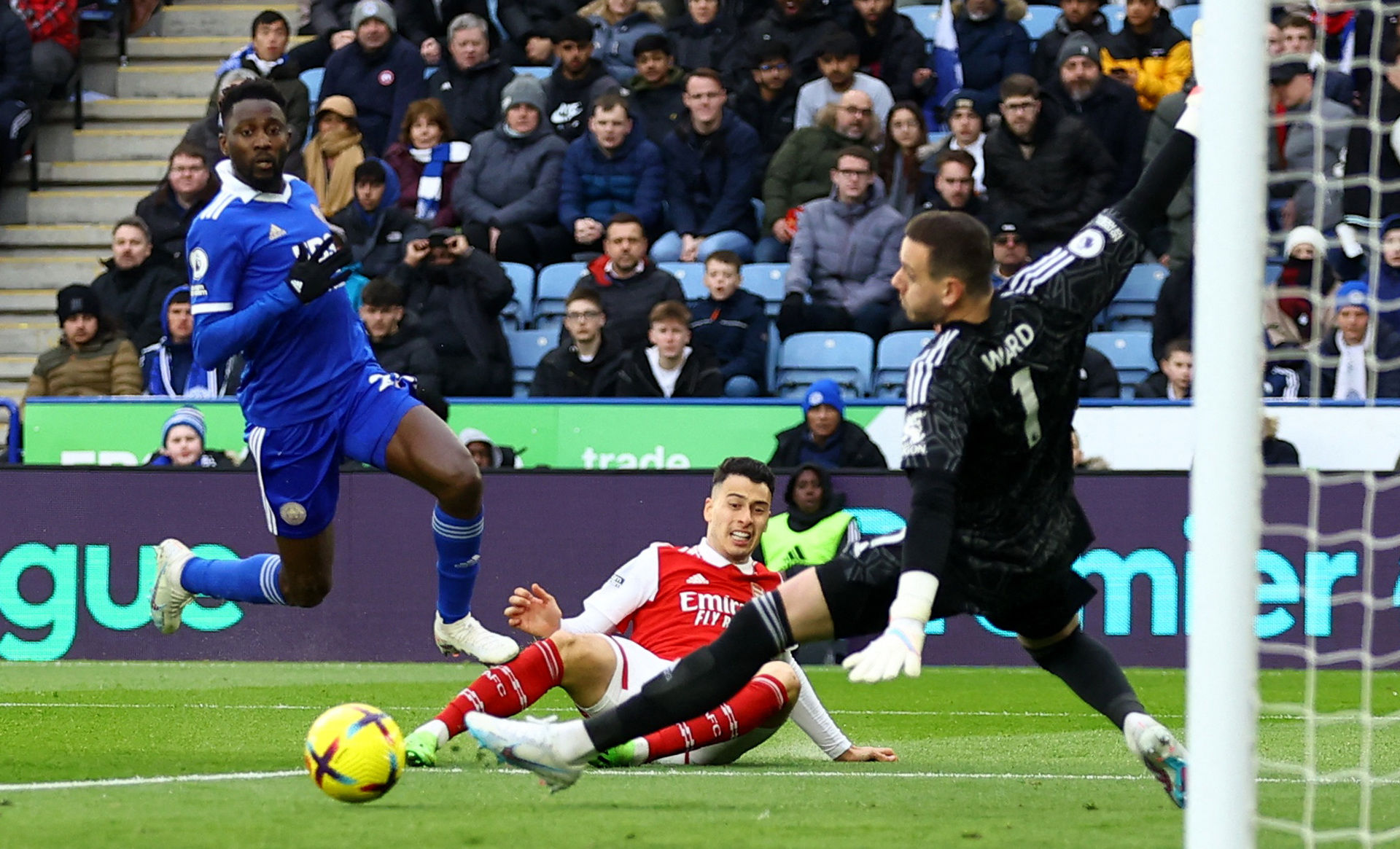 仅丰富了比 仅丰富了比